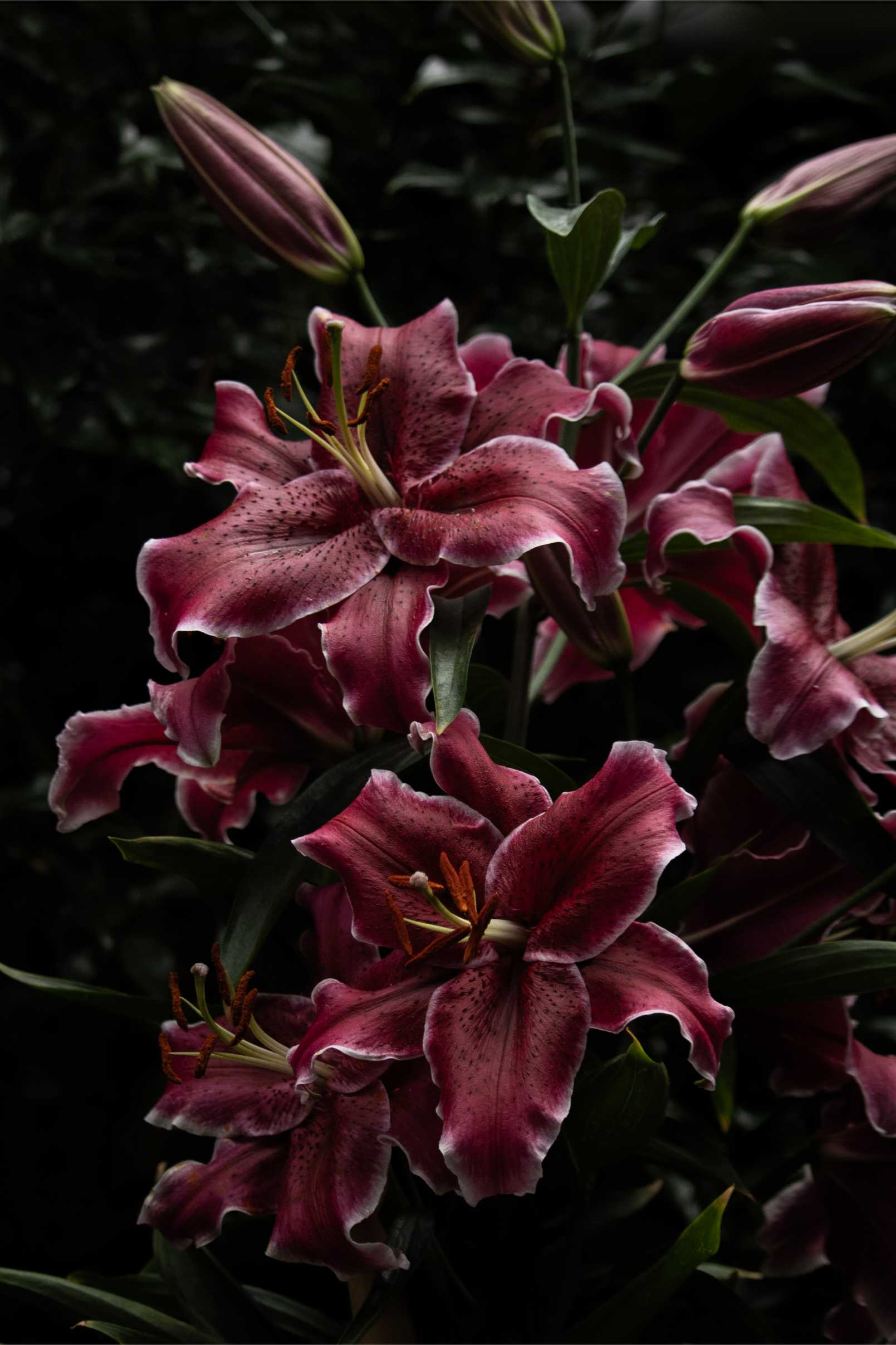 2023 Photo 26
